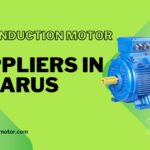 Who Are the Top Induction Motor Suppliers in Belarus?