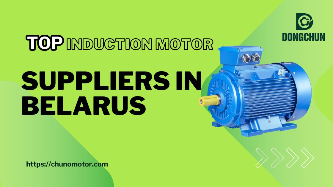 Principal proveedor de motores de inducción en Bielorrusia