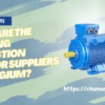 Who Are the Leading Induction Motor Suppliers in Belgium?