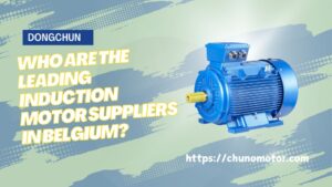 nduction Motor Suppliers in Belgium