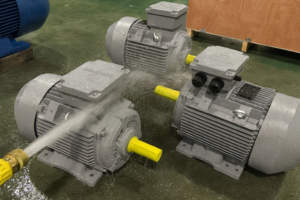 IP66 DONGCHUN MOTOR