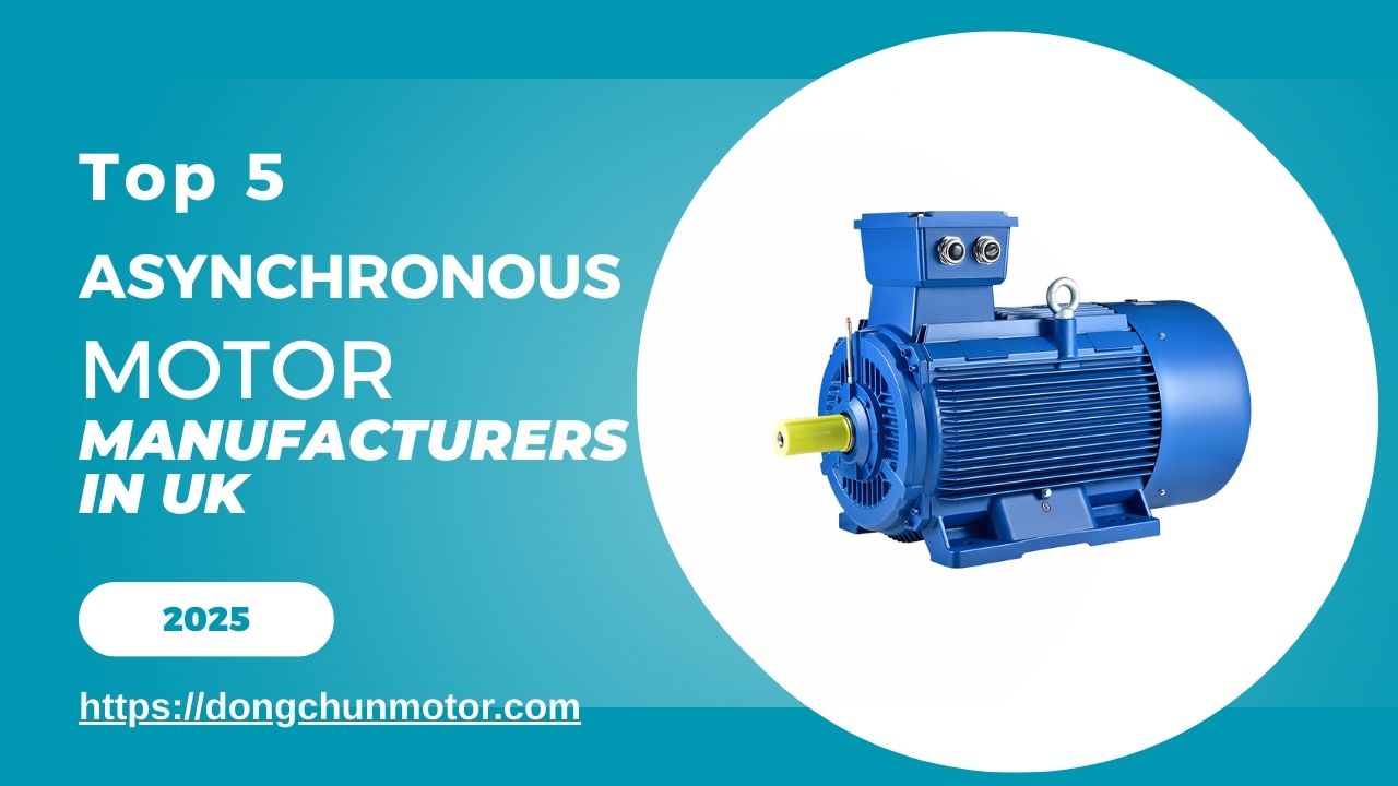 TOP 5 Asynchronous Motor Manufacturers