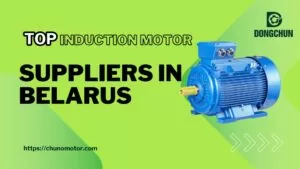 TOP induction motor supplier in Belarus