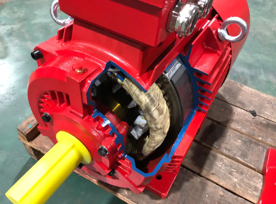 A cutaway view of an asynchronous motor showing the internal windings and bearings
